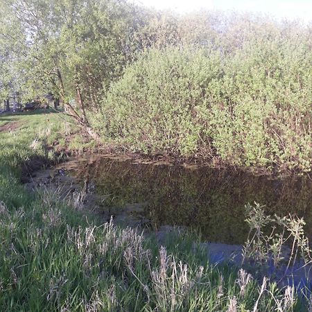 Pensjonat Bizon Sadowne Zewnętrze zdjęcie