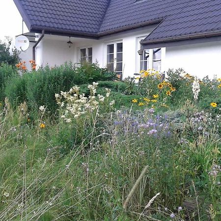 Pensjonat Bizon Sadowne Zewnętrze zdjęcie