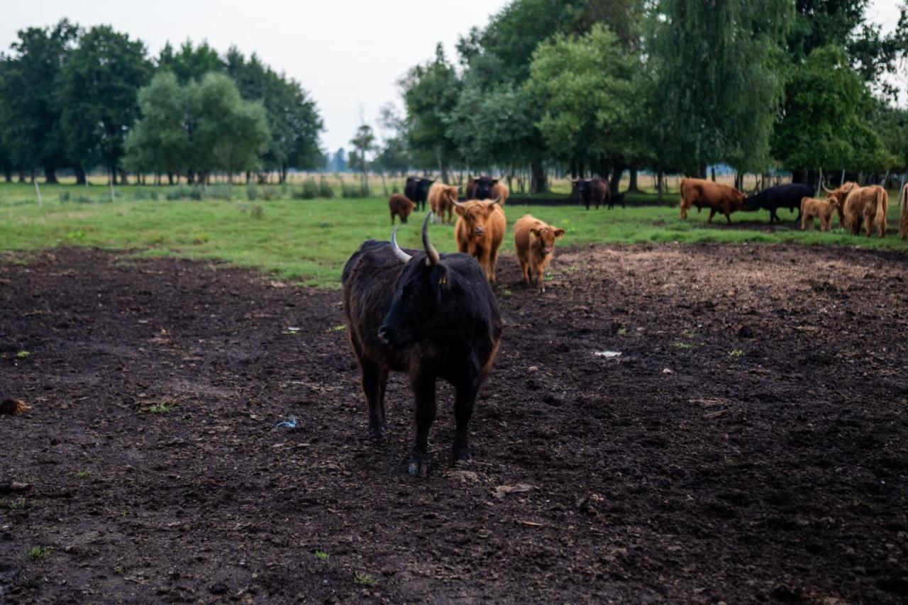 Pensjonat Bizon Sadowne Zewnętrze zdjęcie