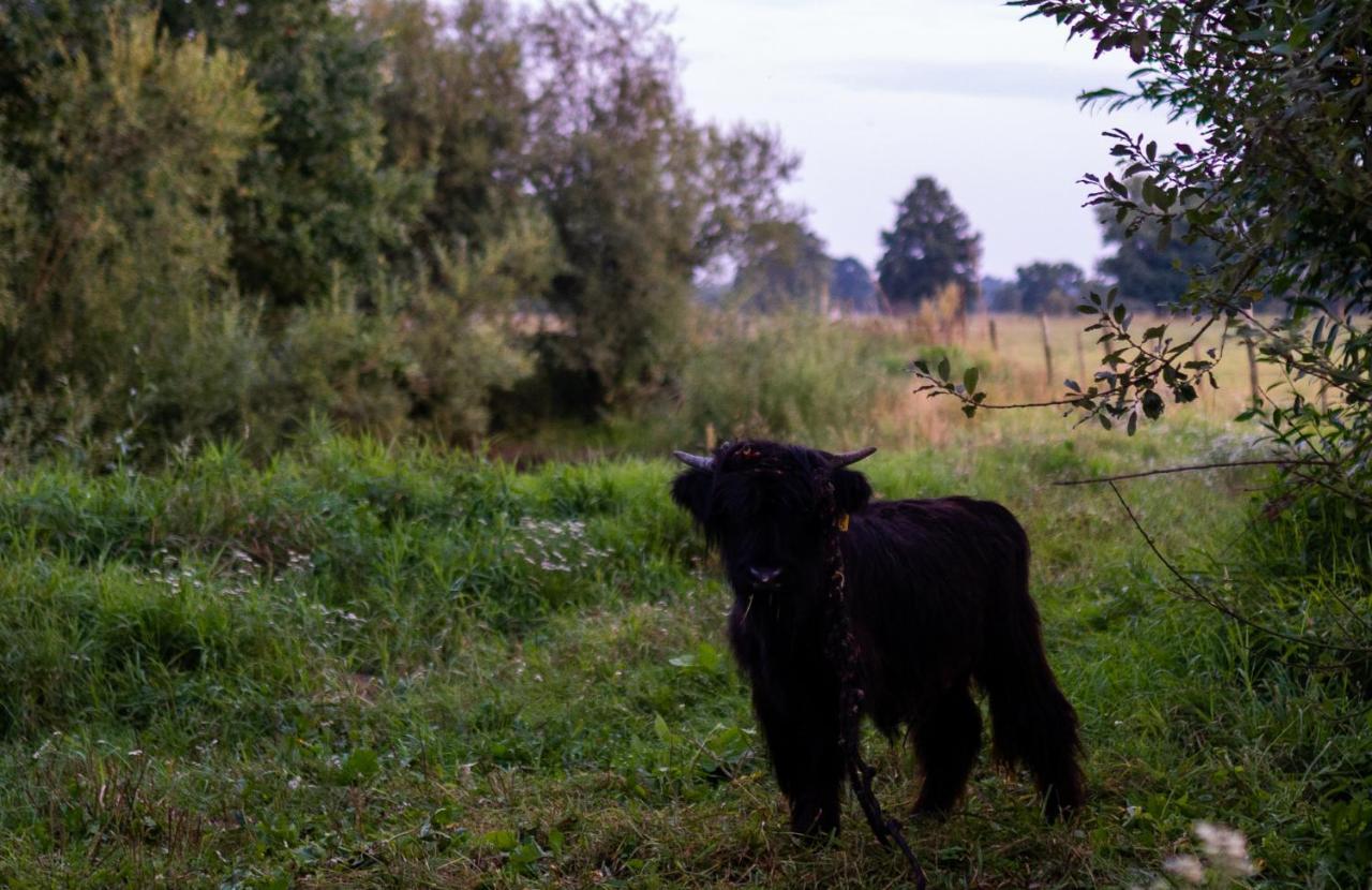 Pensjonat Bizon Sadowne Zewnętrze zdjęcie