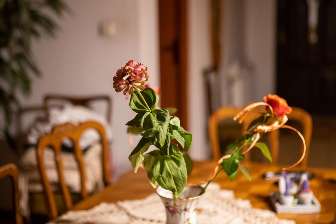 Pensjonat Bizon Sadowne Zewnętrze zdjęcie