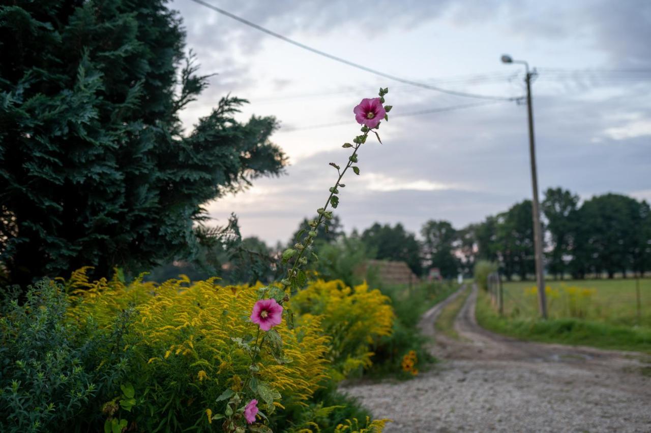 Pensjonat Bizon Sadowne Zewnętrze zdjęcie