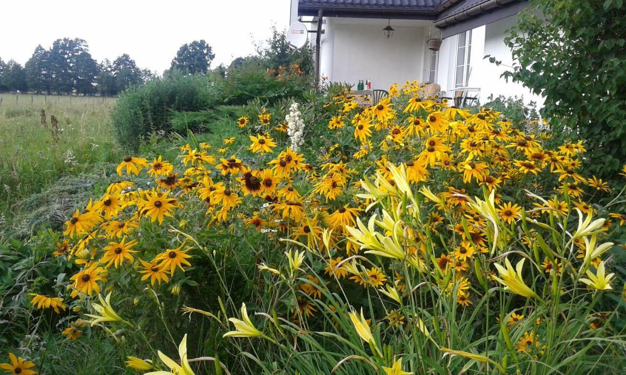 Pensjonat Bizon Sadowne Zewnętrze zdjęcie